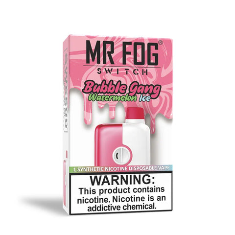 Mr. Fog Switch : Bubble Gang